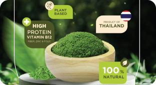 เลี้ยงไข่ผำ