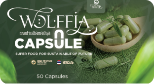 สอน เพาะ ไข่ผำ